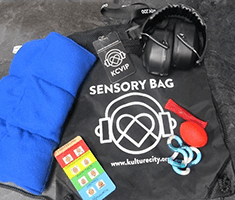 Sensory Bag