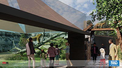 Rendering of family viewing renovated tiger habitat through glass
